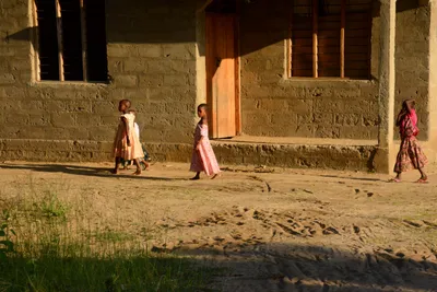 DSC_8383 (Large).JPG